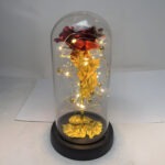 Zlatna Ruža U Staklenom Zvonu