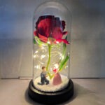 Ruža U Staklenom Zvonu