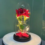 Ruža U Staklenom Zvonu