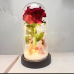 Ruža U Staklenom Zvonu