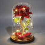 Svetleća Ruža U Staklenom Zvonu