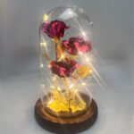 Svetleće Ruže U Staklenom Zvonu